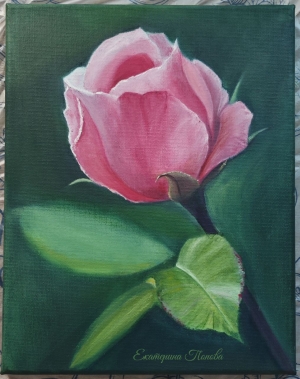 Рисунки учеников с курса Розы маслом